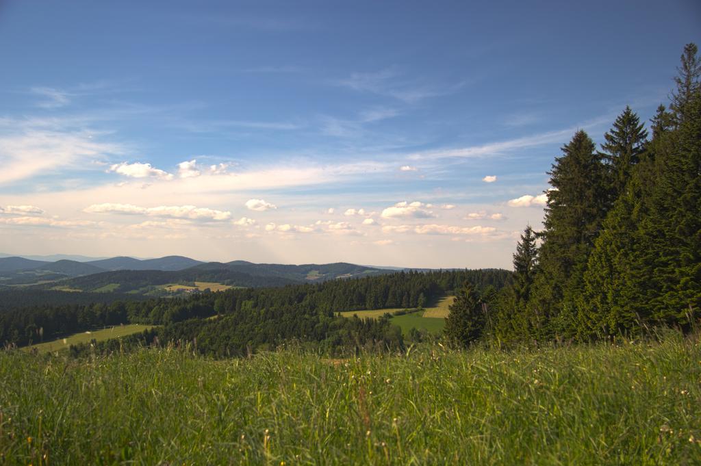 Landgasthof Zum Lang Untergriesbach Luaran gambar